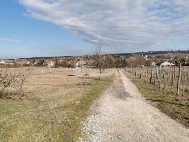 Eladó telek, Kőröshegyen 65 M Ft / költözzbe.hu