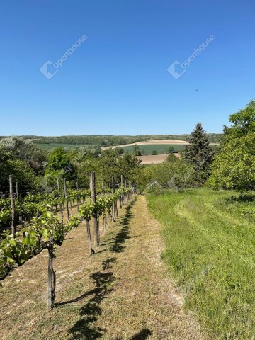 Eladó mezogazdasagi ingatlan, Nagyberényen 8.9 M Ft, 1 szobás