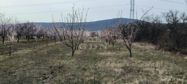 Eladó mezogazdasagi ingatlan, Pomázon 9.8 M Ft