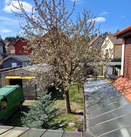 Eladó családi ház, Pilisvörösváron 84.5 M Ft, 3 szobás