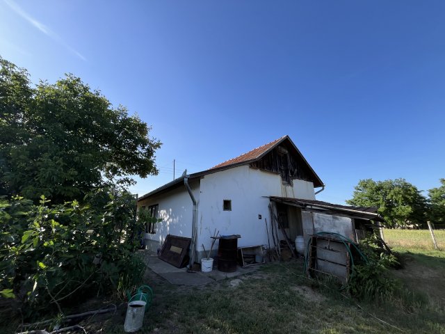 Eladó családi ház, Tiszakécskén 15 M Ft, 3 szobás