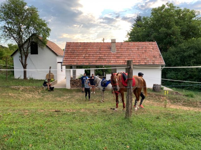 Kiadó családi ház, albérlet, Pécsett 150 E Ft / hó, 2 szobás