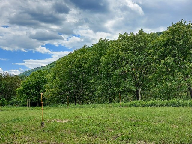 Eladó telek, Balatonedericsen 27.9 M Ft / költözzbe.hu