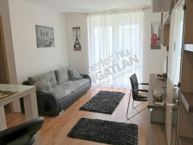 Kiadó téglalakás, albérlet, Budapesten, VIII. kerületben