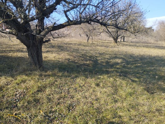 Eladó telek, Iszkaszentgyörgyön 16.5 M Ft / költözzbe.hu