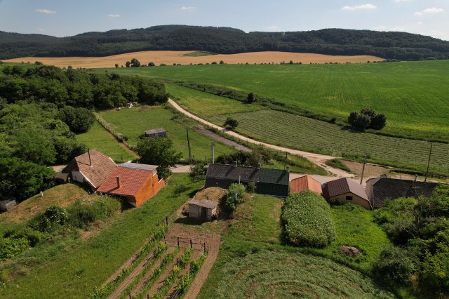 Eladó nyaraló, Tarjánon 8.5 M Ft, 1 szobás