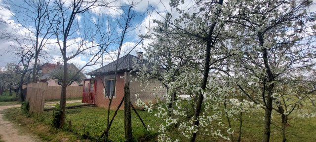 Eladó családi ház, Dombóváron 10.5 M Ft, 1+1 szobás