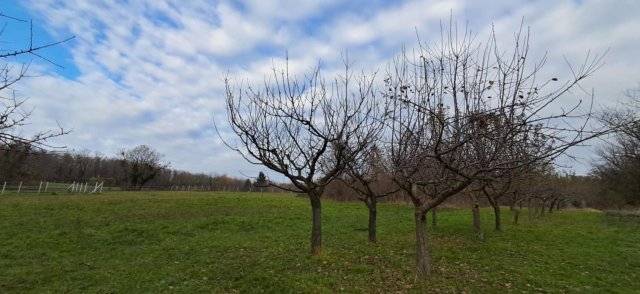 Eladó családi ház, Zalakaroson 9.9 M Ft, 1 szobás