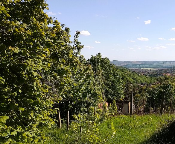 Eladó telek, Pécsett 16.25 M Ft / költözzbe.hu