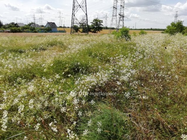 Eladó telek, Győrött, Csendes utcában 4.4 M Ft