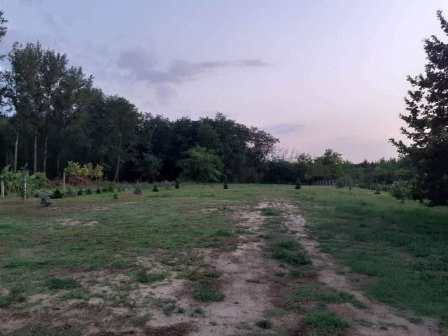 Eladó telek, Nyáregyházán 15.6 M Ft / költözzbe.hu
