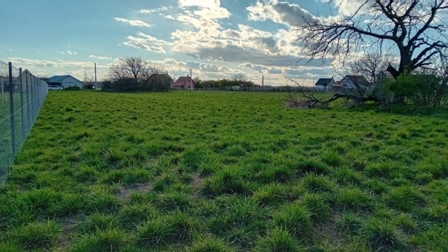 Eladó telek, Balatonszabadiban 7.9 M Ft / költözzbe.hu