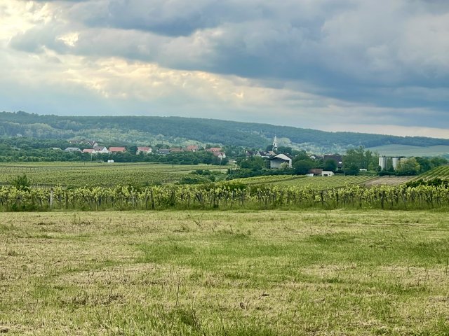 Eladó telek, Szentantalfán 16 M Ft / költözzbe.hu