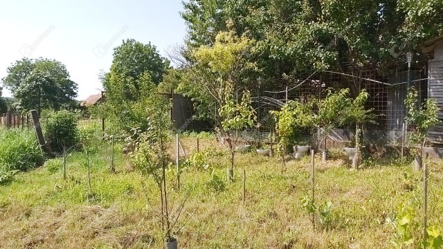 Eladó családi ház, Kocsolán 37.2 M Ft, 3 szobás