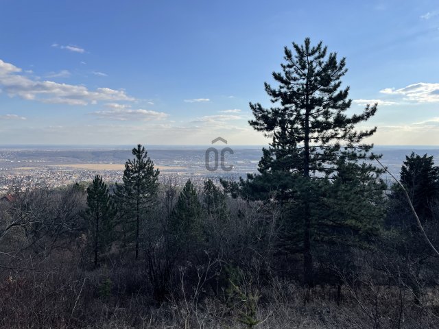 Eladó telek, Budaörsön, Őzike utcában 79.9 M Ft