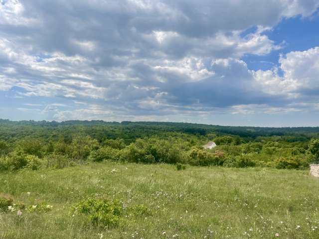 Eladó telek, Szentkirályszabadján 169 M Ft / költözzbe.hu