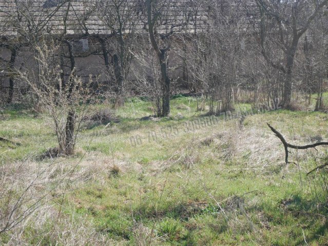 Eladó telek, Dánszentmiklóson 8 M Ft / költözzbe.hu