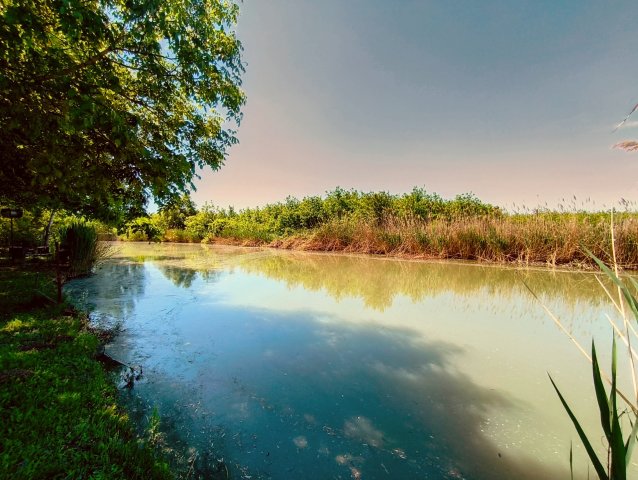 Eladó mezogazdasagi ingatlan, Mezőberényben 7.5 M Ft