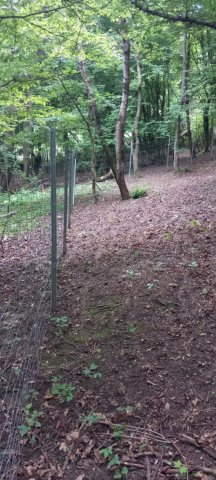 Eladó telek, Sopronban 34.9 M Ft / költözzbe.hu