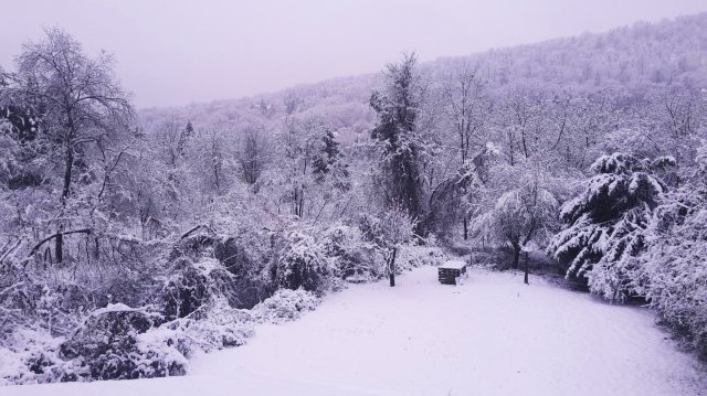 Eladó családi ház, Nagymaroson 43 M Ft, 2 szobás