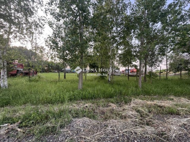Eladó családi ház, Kunszentmiklóson 195 M Ft, 1 szobás
