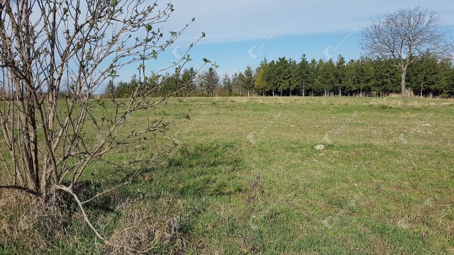 Eladó telek, Győrött 24.9 M Ft / költözzbe.hu