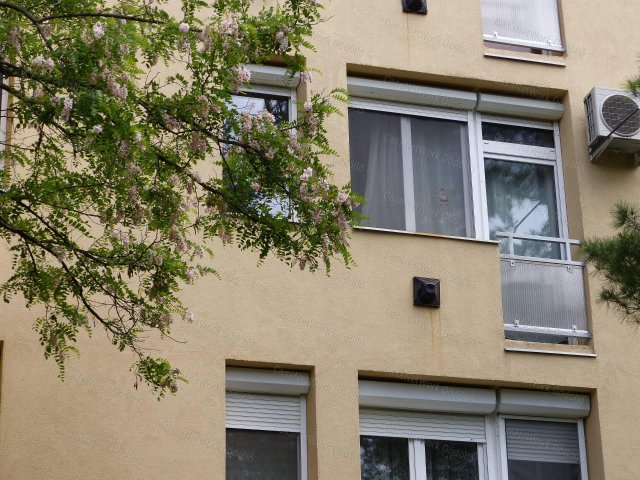 Kiadó téglalakás, albérlet, Gödöllőn 170 E Ft / hó