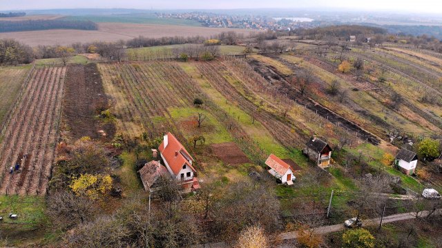 Eladó mezogazdasagi ingatlan, Környén 259.9 M Ft, 4 szobás