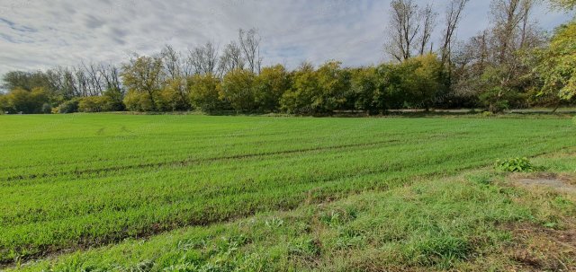 Eladó ipari ingatlan, Győrújbaráton 102.009 M Ft