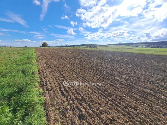 Eladó mezogazdasagi ingatlan, Nemesvámoson 4.5 M Ft