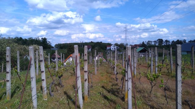 Eladó családi ház, Sárváron 29.9 M Ft, 3 szobás