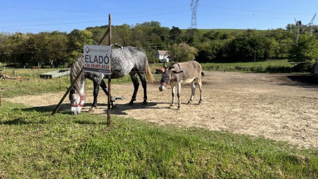 Eladó telek, Karmacson 6.9 M Ft / költözzbe.hu