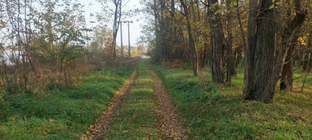 Eladó telek, Pusztavacson 7.5 M Ft / költözzbe.hu