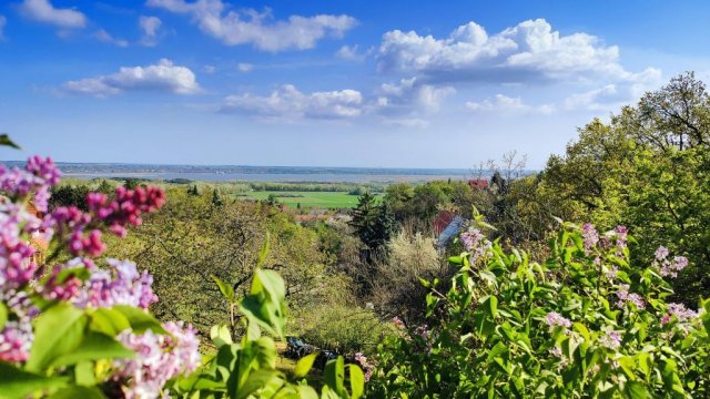 Eladó telek, Sukorón 55 M Ft / költözzbe.hu