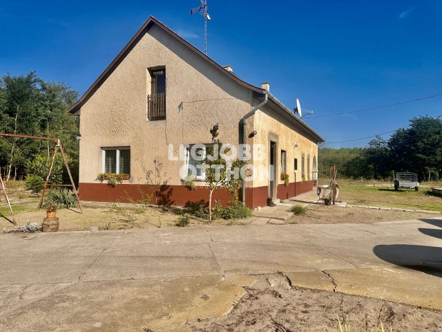Eladó családi ház, Nagykőrösön 44.9 M Ft, 8 szobás