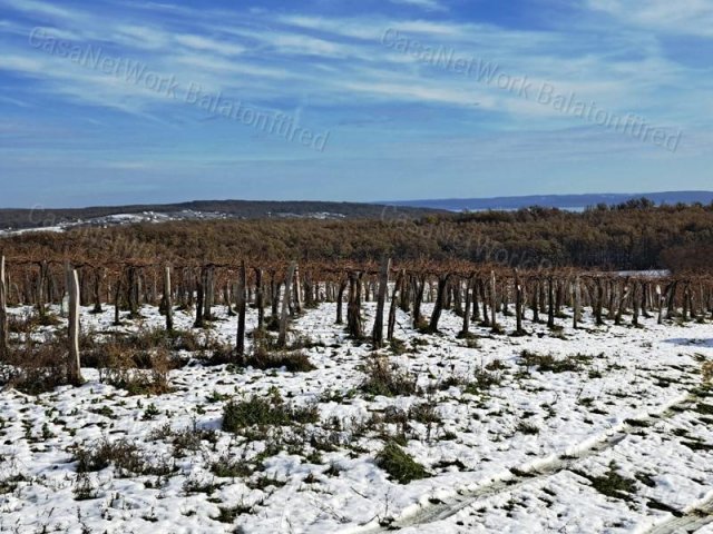 Eladó mezogazdasagi ingatlan, Balatoncsicsón 4 M Ft