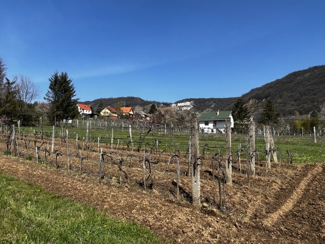 Eladó telek, Csókakőn 10.95 M Ft / költözzbe.hu