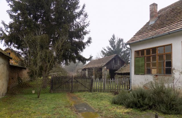 Eladó családi ház, Bogdásán 4.1 M Ft, 1+1 szobás