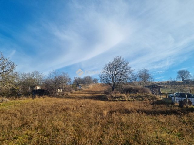 Eladó telek, Alcsútdobozon 9.9 M Ft / költözzbe.hu