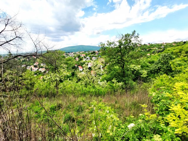 Eladó telek, Pécsett 59 M Ft / költözzbe.hu