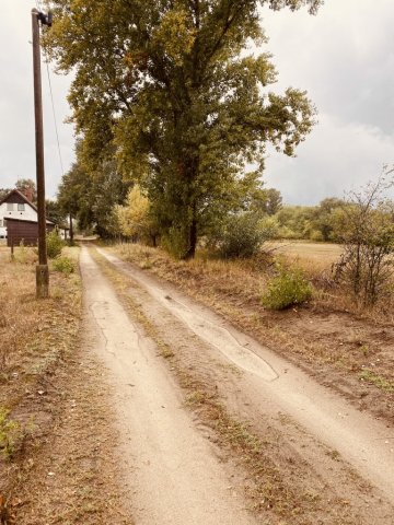 Eladó mezogazdasagi ingatlan, Felsőlajoson 22.5 M Ft