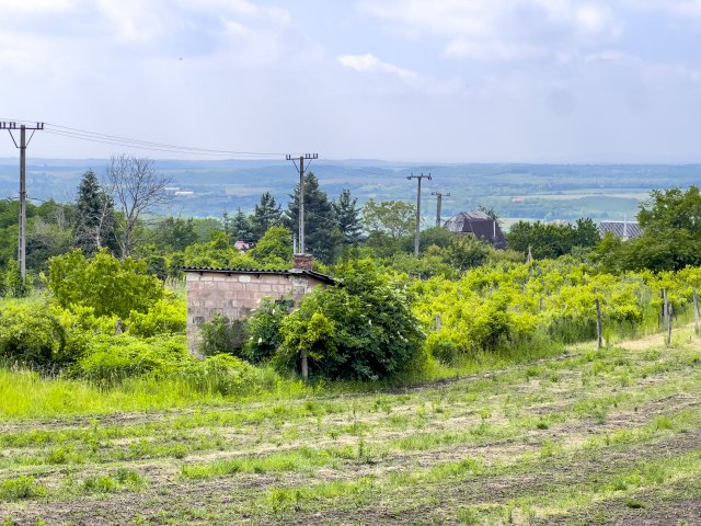 Eladó telek, Biatorbágyon 16.9 M Ft / költözzbe.hu