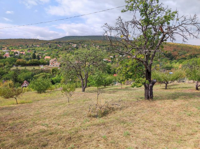 Eladó telek, Pécsett, Alsó-Hegyi dűlőn 5 M Ft