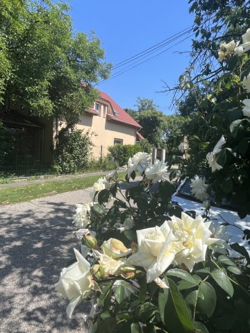 Eladó családi ház, Budapesten, XVI. kerületben 240 M Ft