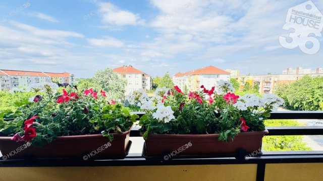 Eladó panellakás, Kecskeméten 53.9 M Ft, 3 szobás