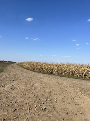 Eladó mezogazdasagi ingatlan, Hajdúszoboszlón, Fertő utcában