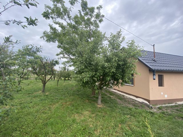 Eladó családi ház, Gyulán 21.9 M Ft, 2 szobás