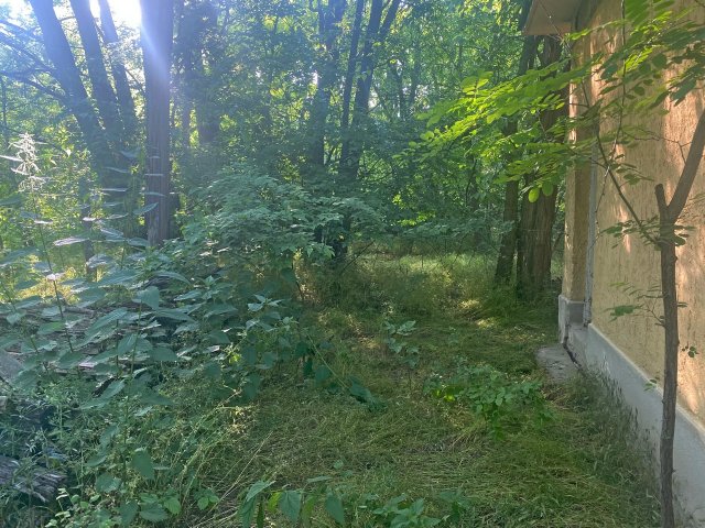 Eladó mezogazdasagi ingatlan, Jánoshalmán 1.8 M Ft