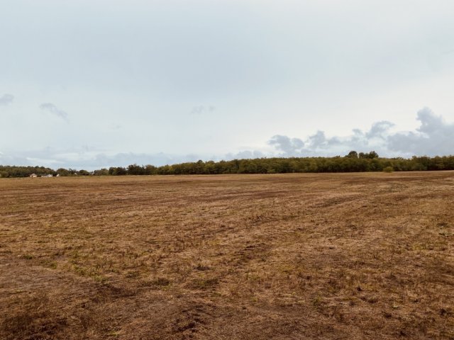 Eladó mezogazdasagi ingatlan, Felsőlajoson 9.9 M Ft