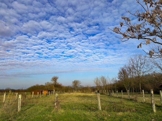 Eladó telek, Balatonőszödön 29.8 M Ft / költözzbe.hu